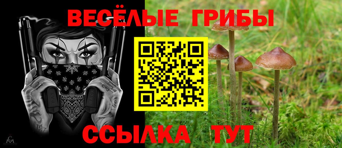 Галлюциногенные грибы GOLDEN TEACHER Будённовск